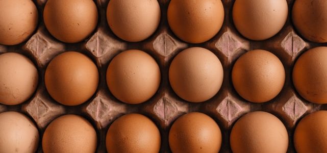 Por qué comprar huevos frescos ecológicos